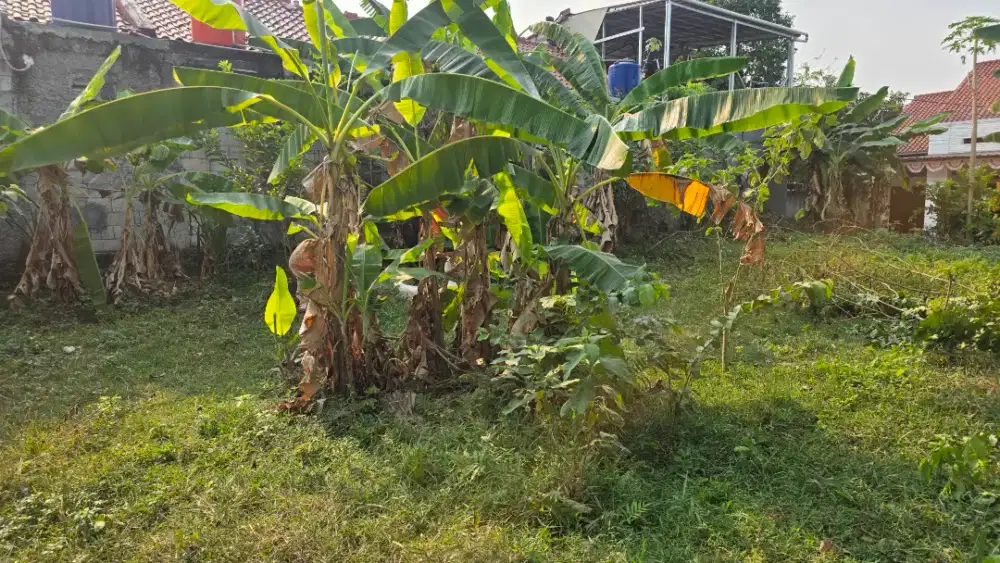 Jual tanah daerah pondok rajeg bentuk kotak persegi panjang, bisa nego
