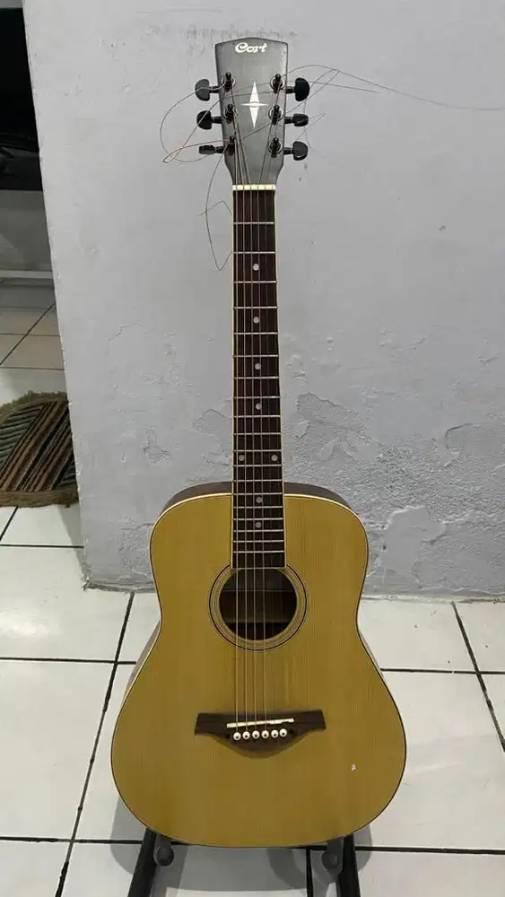 Gitar Akustik Custom+Stand