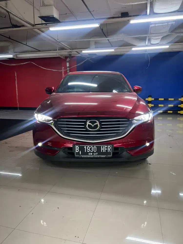CX 8 Elite 2022