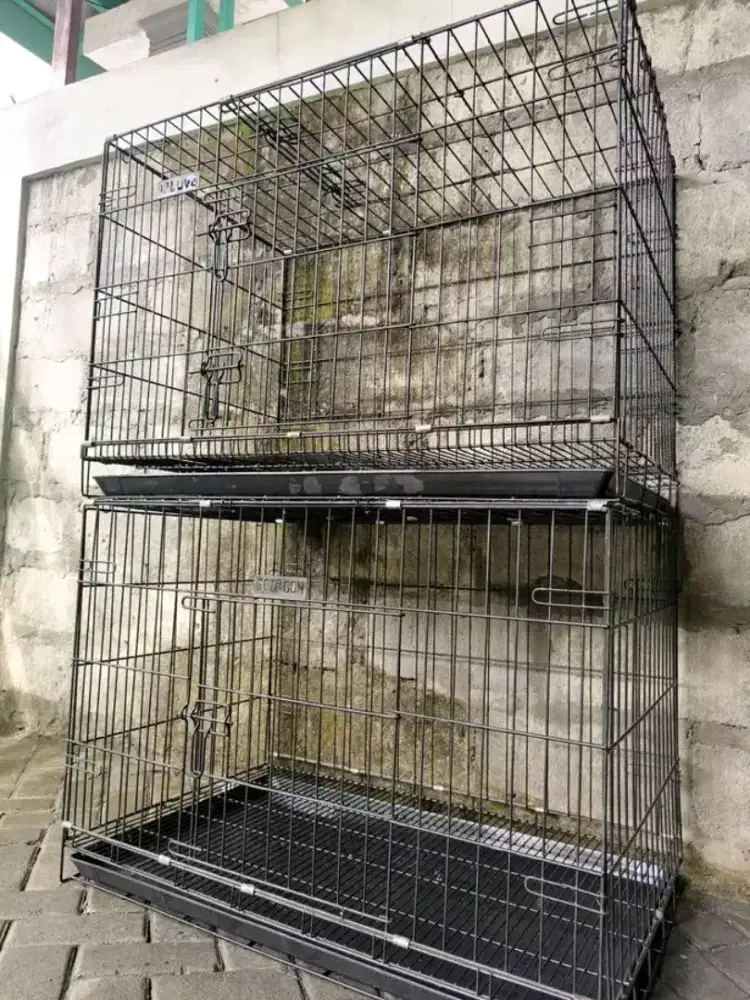 kandang jumbo bekas husky ukuran 90x65x55