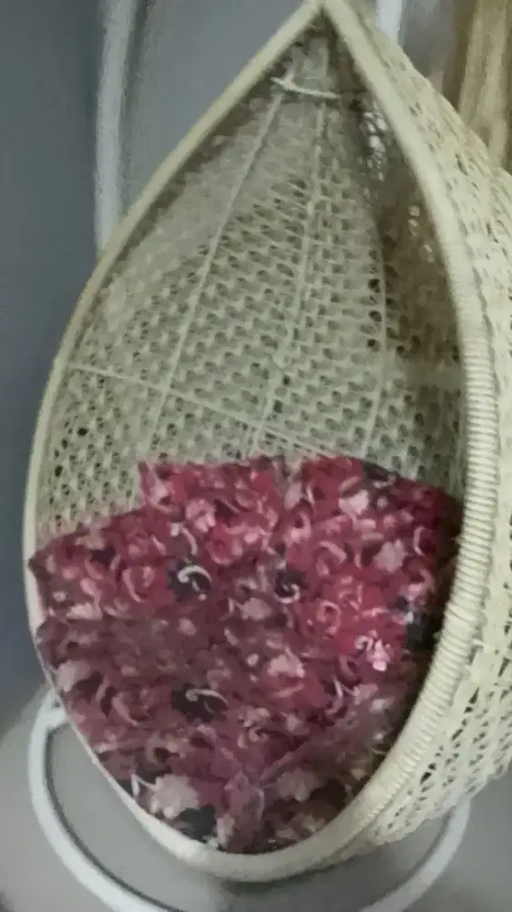 Ayunan rotan besi