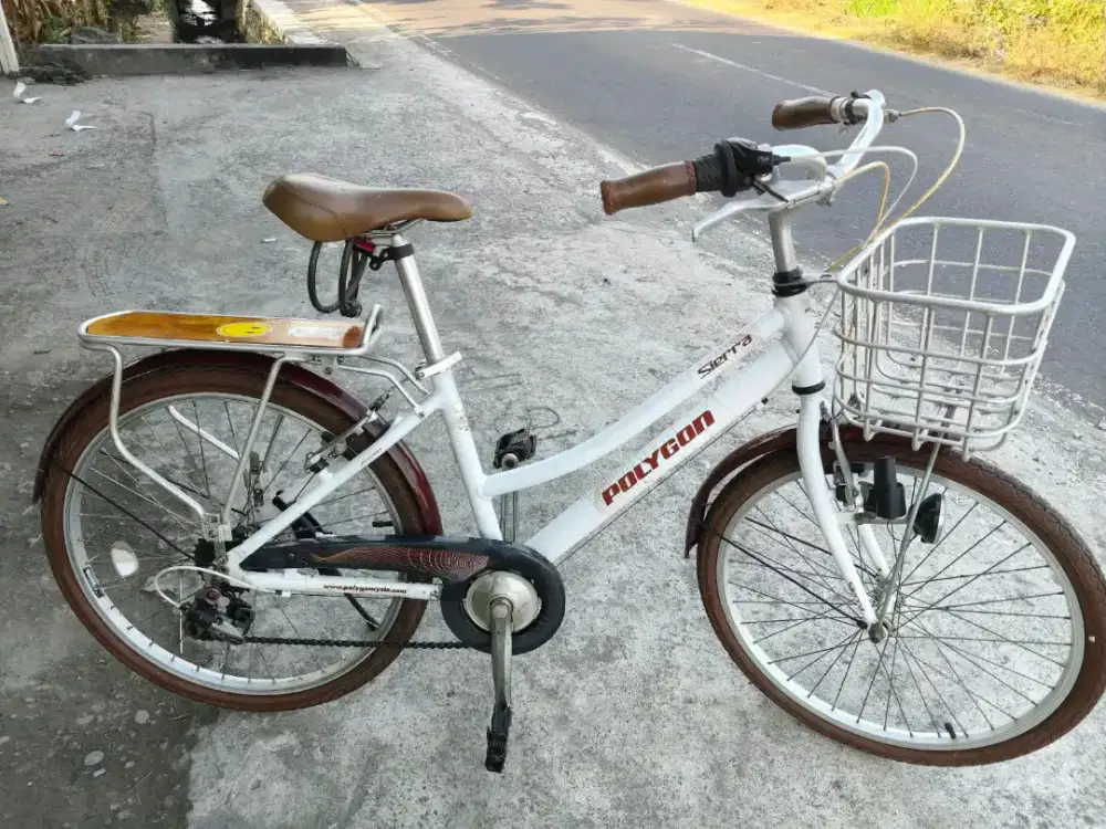 Polygon Sierra AX 24 - 660 Like New