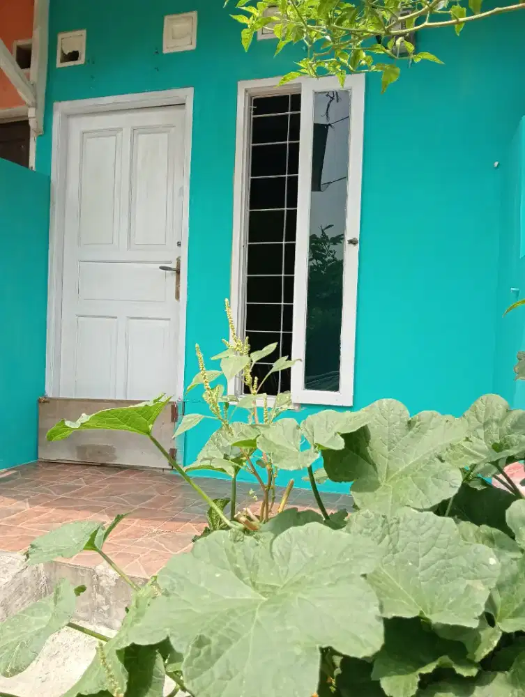 KONTRAKAN 1: Rp900.000/BULAN
KONTRAKAN 2: Rp750.000/BULAN