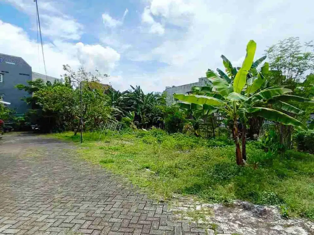 best price, jual cepat sesuai NJOP, tanah ketileng dekat unimus kedungmundu semarang