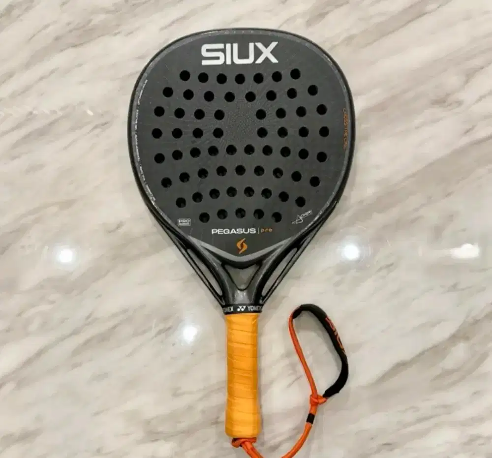 Siux Pegasus Pro 2026
