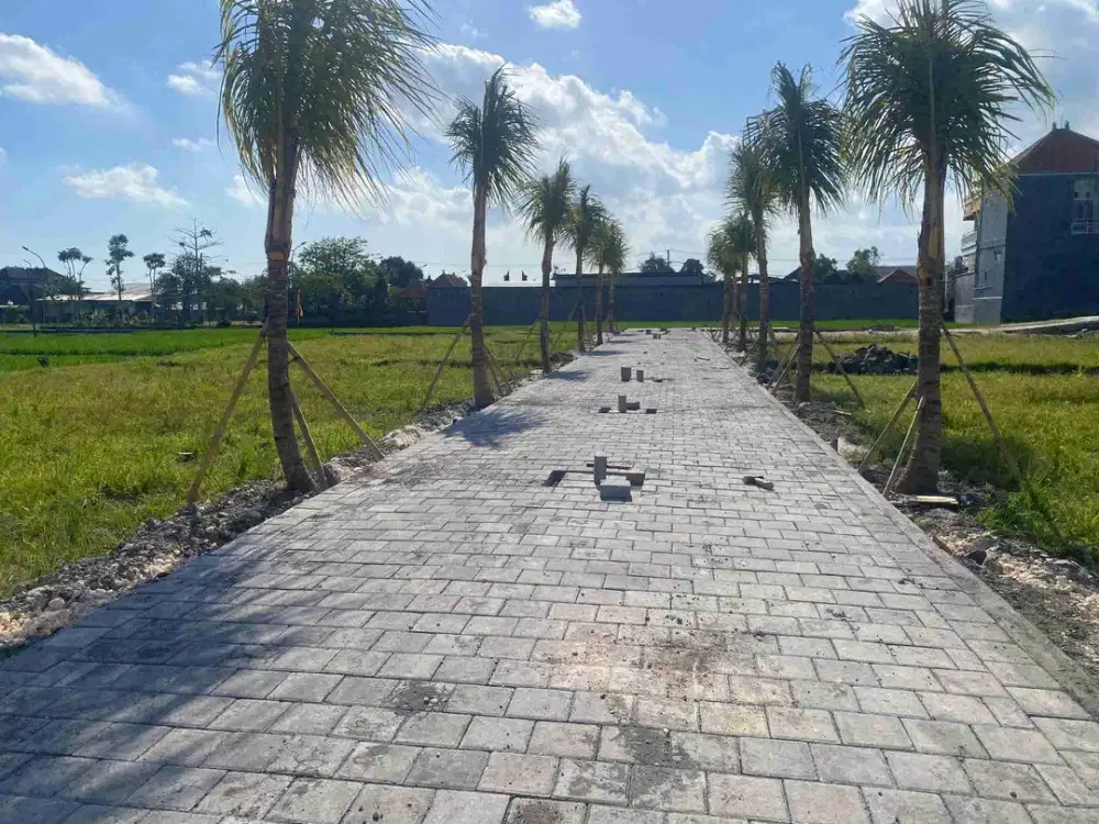 TERSEDIA UNIT TANAH KAVLING DI BUDUK MENGWI BADUNG YG BERADA DIKAWASAN PEMUKIMAN DAN VILLA DENGAN NILAI INVEST TINGGI ,