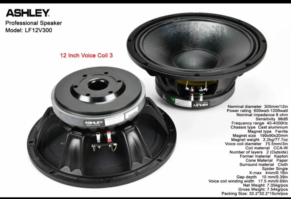 Speaker Ashley LF12v300