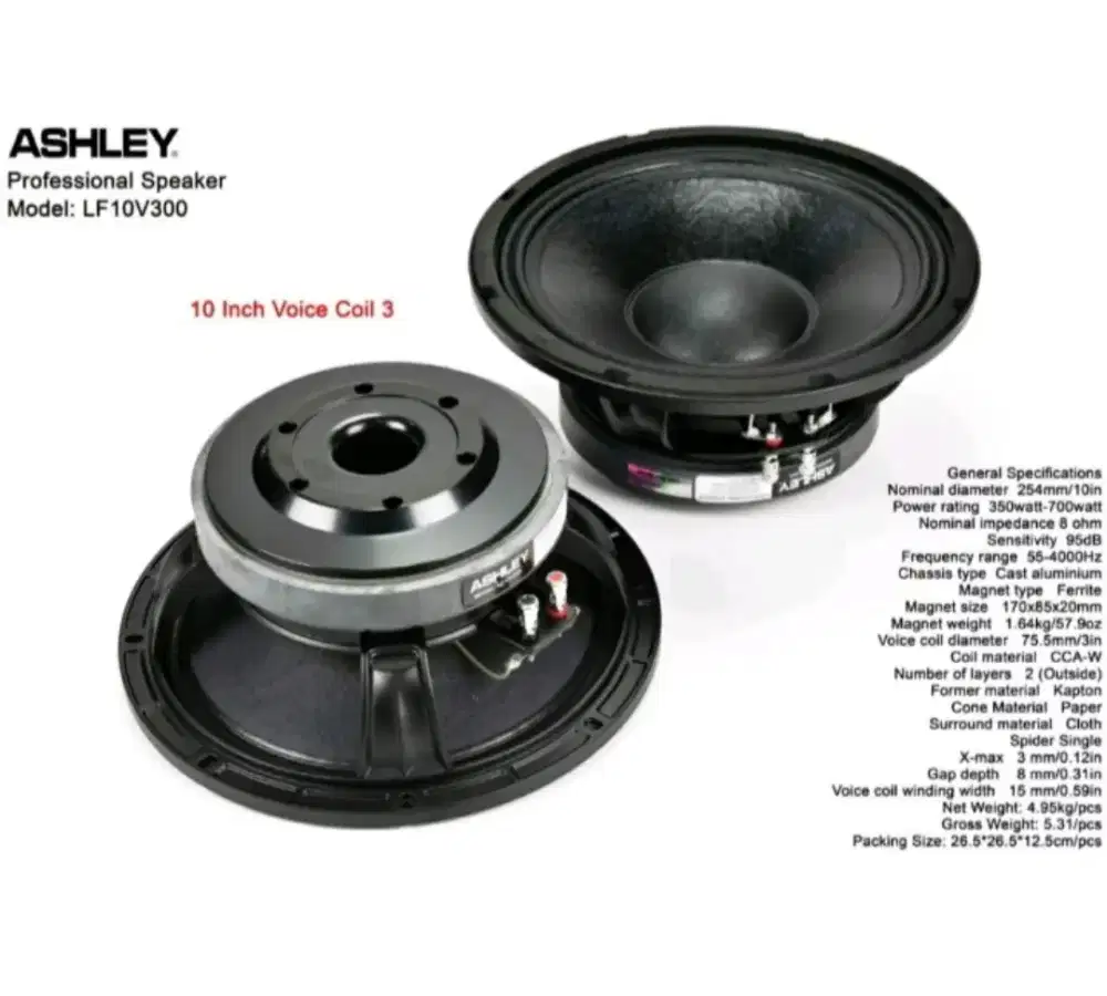 Speaker Ashley LF10v300
