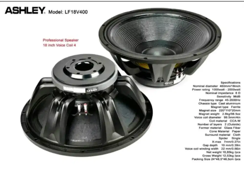 Speaker Ashley LF18v400