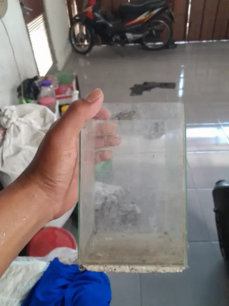 Aquarium bekas borong murah