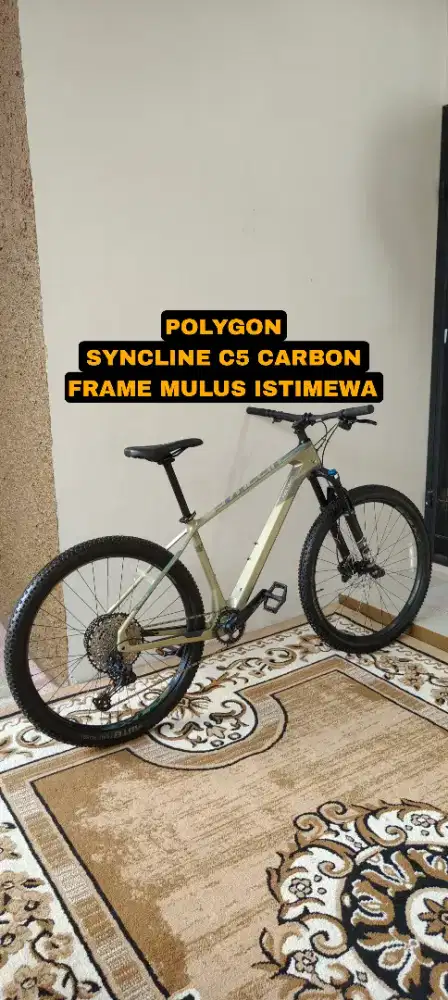 POLYGON SYNCLINE C5 CARBON ISTIMEWA