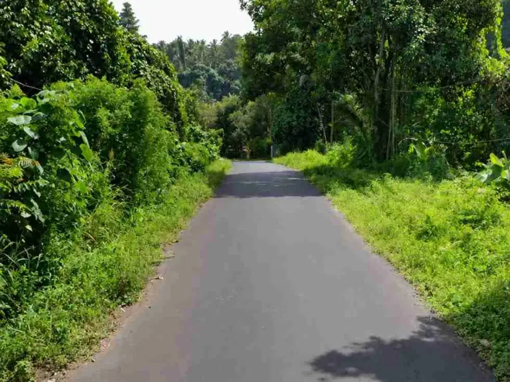 DIJUAL CEPAT TANAH CANTIK DAERAH TALAWAAN, HARGA SANGAT MURAH
