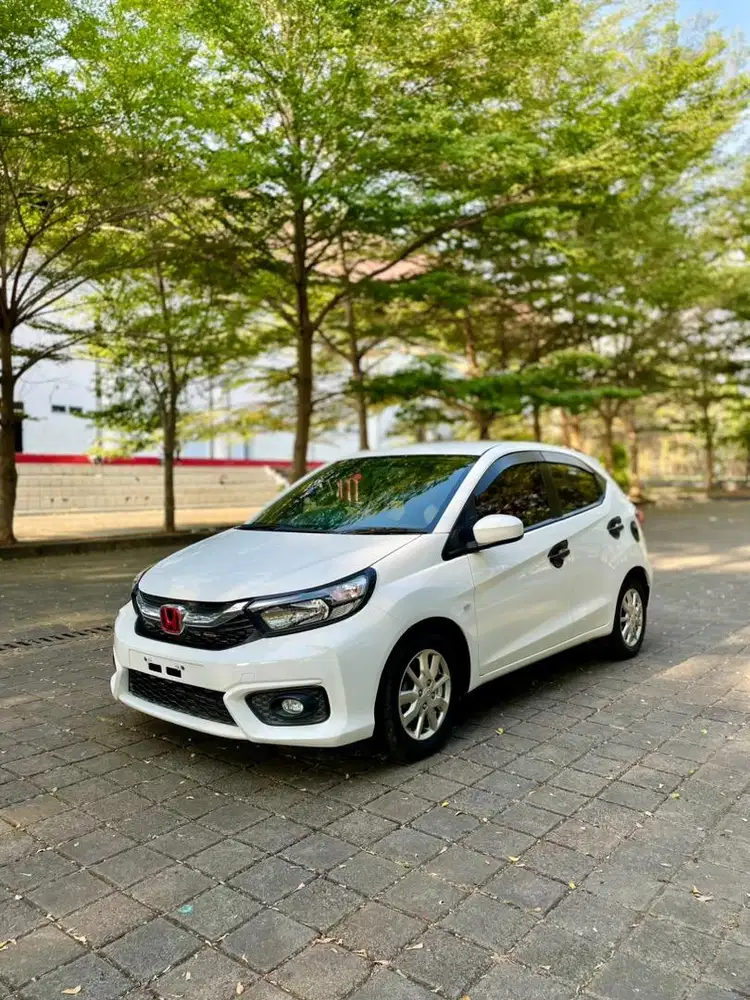 BRIO E MANUAL 2020