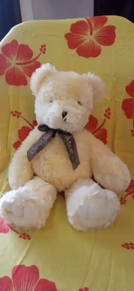 Cherish Bear Teddy Bear