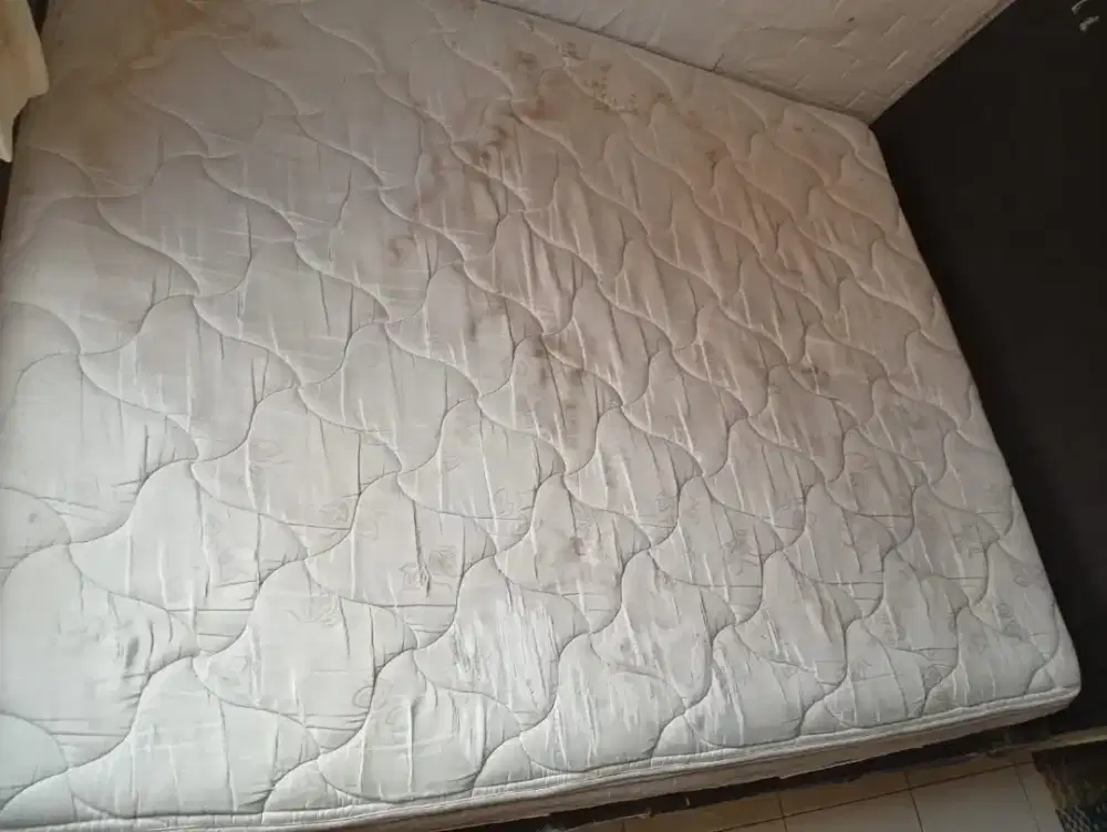 Springbed SERTA 160x200 Jual Cepat