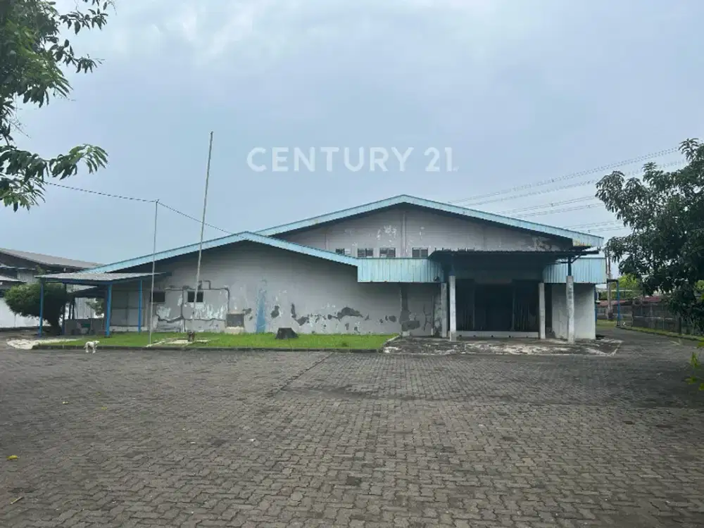 Gudang Di Kaligawe Halaman Luas Cocok Untuk Produksi Dan Gudang