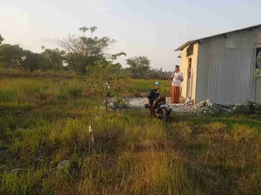 Tanah Kavling siap bangun di ngawen -seberang puskesmas Raci Tengah Sidayu