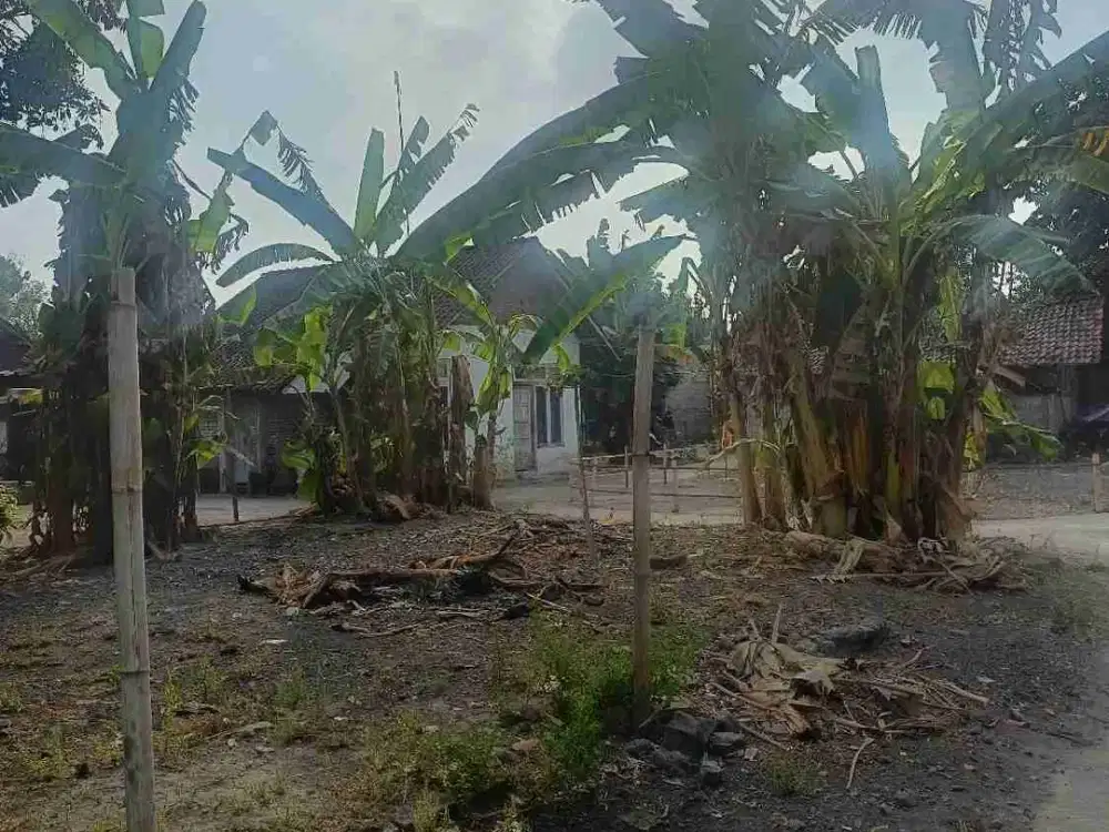 Jual Tanah di Manding SABDODADI BANTUL YOGYAKARTA