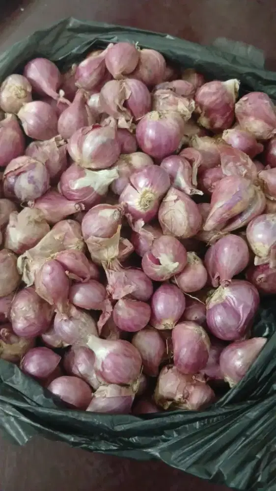 Bawang merah dan bawang putih