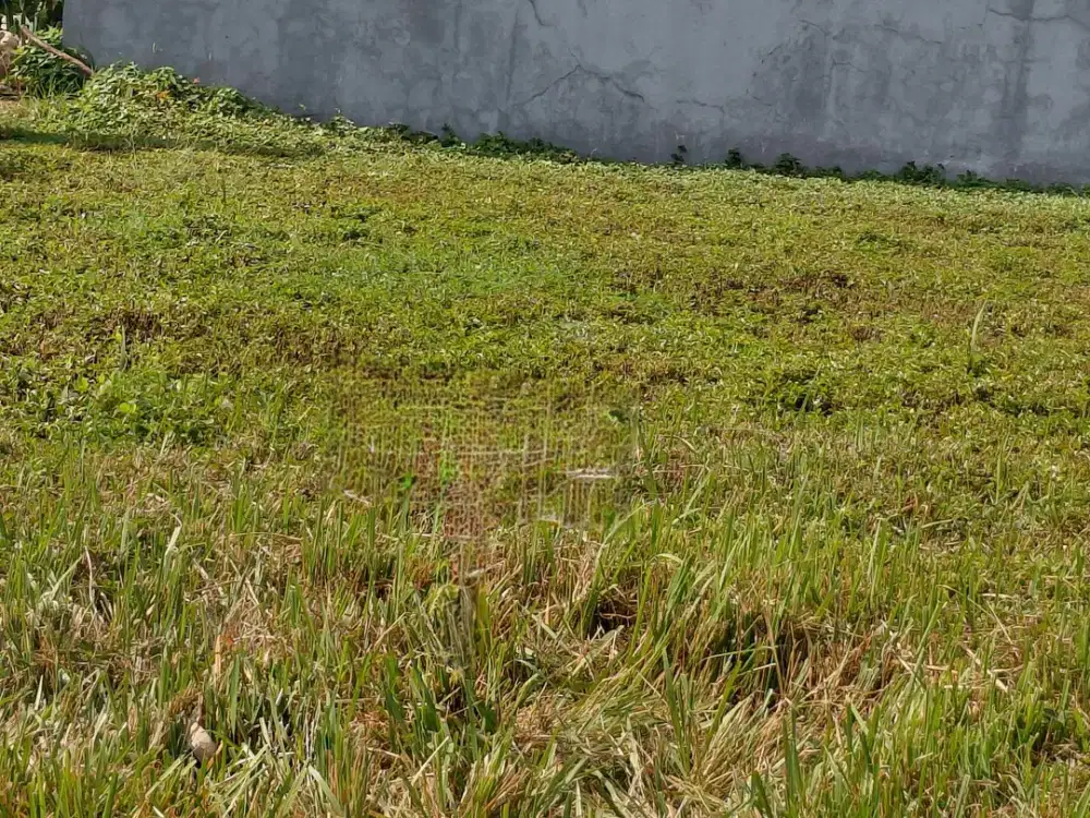 Jual Tanah diCitraland Utama Surabaya Barat