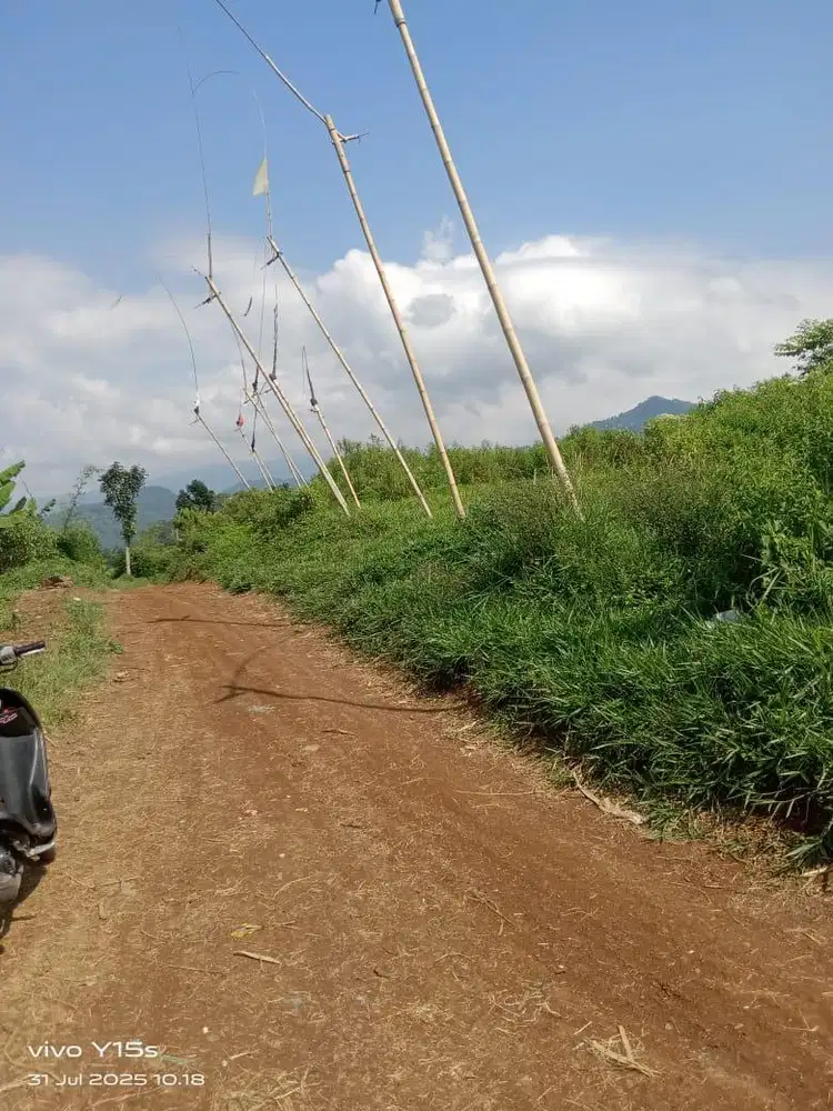 DIJUAL TANAH CIANJUR LUAS 59.393 M2