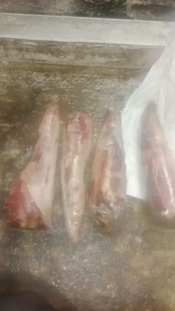 Lidah sapi premium feozen