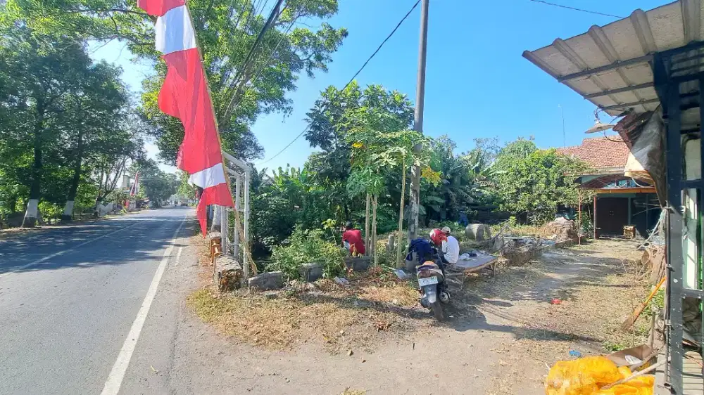 Lahan 0 jalan raya pandanwangi