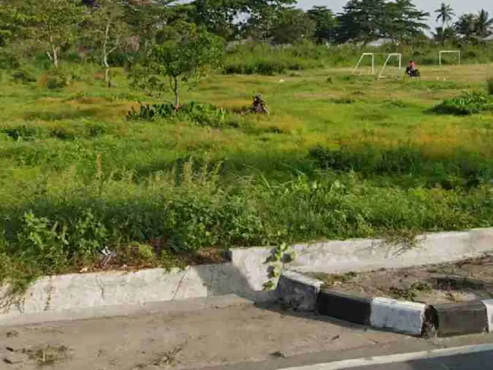 Disewakan tanah rata 2 ha, siap pakai, Jl. Mulawarman, Batakan.