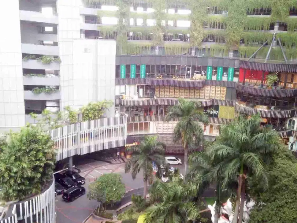 RENT KONDOMINIUM SHERATHON TUNJUNGAN PLASA SURABAYA