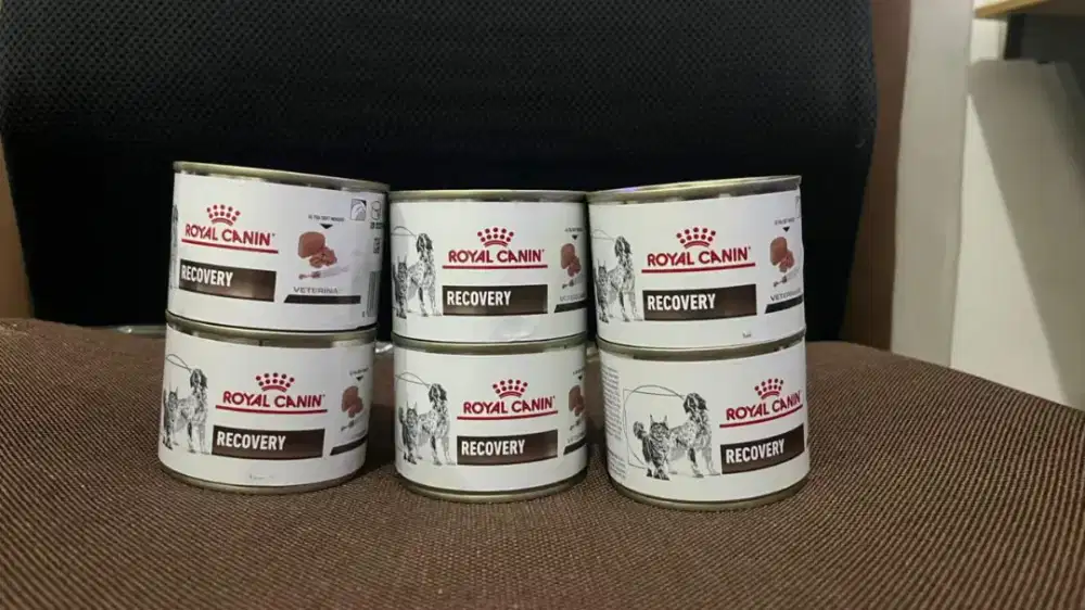 ROYAL CANIN RECOVERY EXP 2028