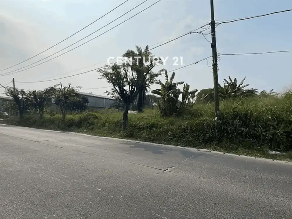 Dijual Kavling Datar Lokasi Strategis Di Area Puspitek BSD