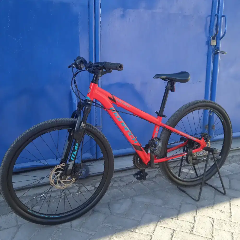 Polygon Monarch MJR almini ukuran 26