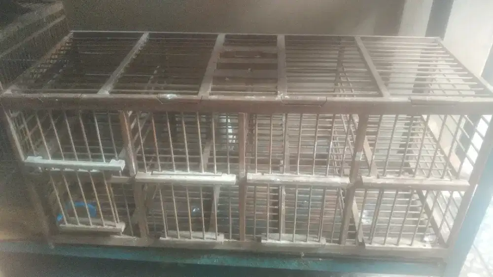 Kandang dongdang pintu 8