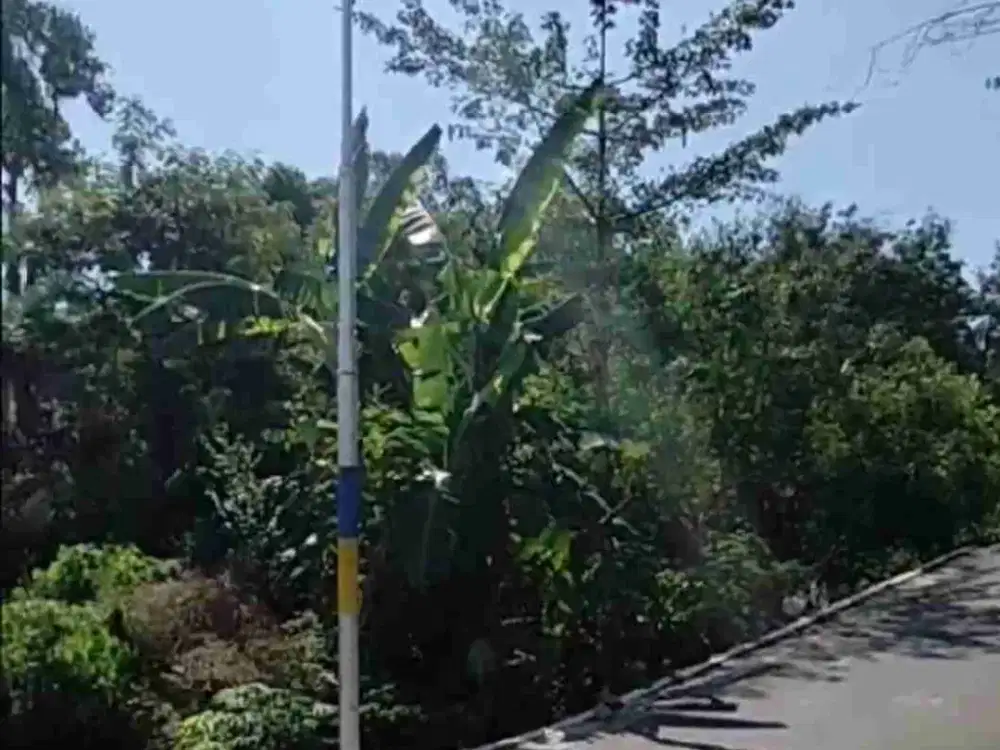 Dijual pekarangan kadipiro solo