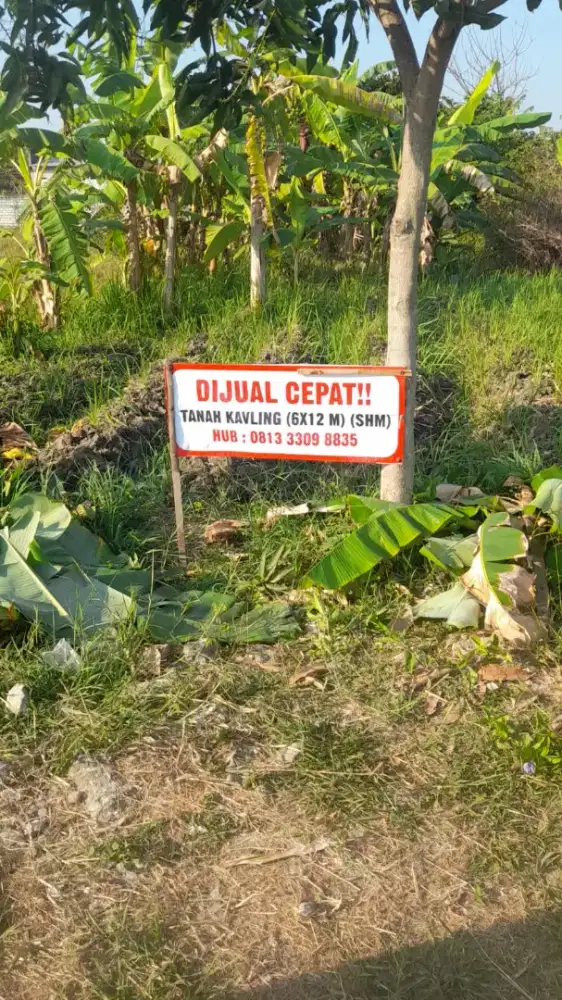 Di Jual Tanah di Sidogembul Lamongan