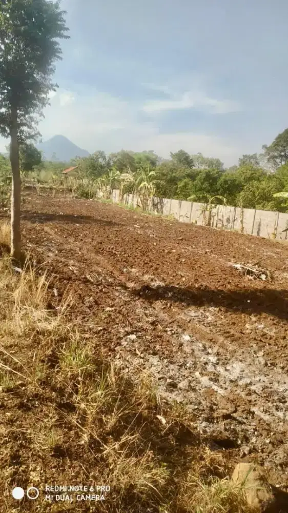 Dijual Tanah Strategis Ry Indrokilo Pandaan