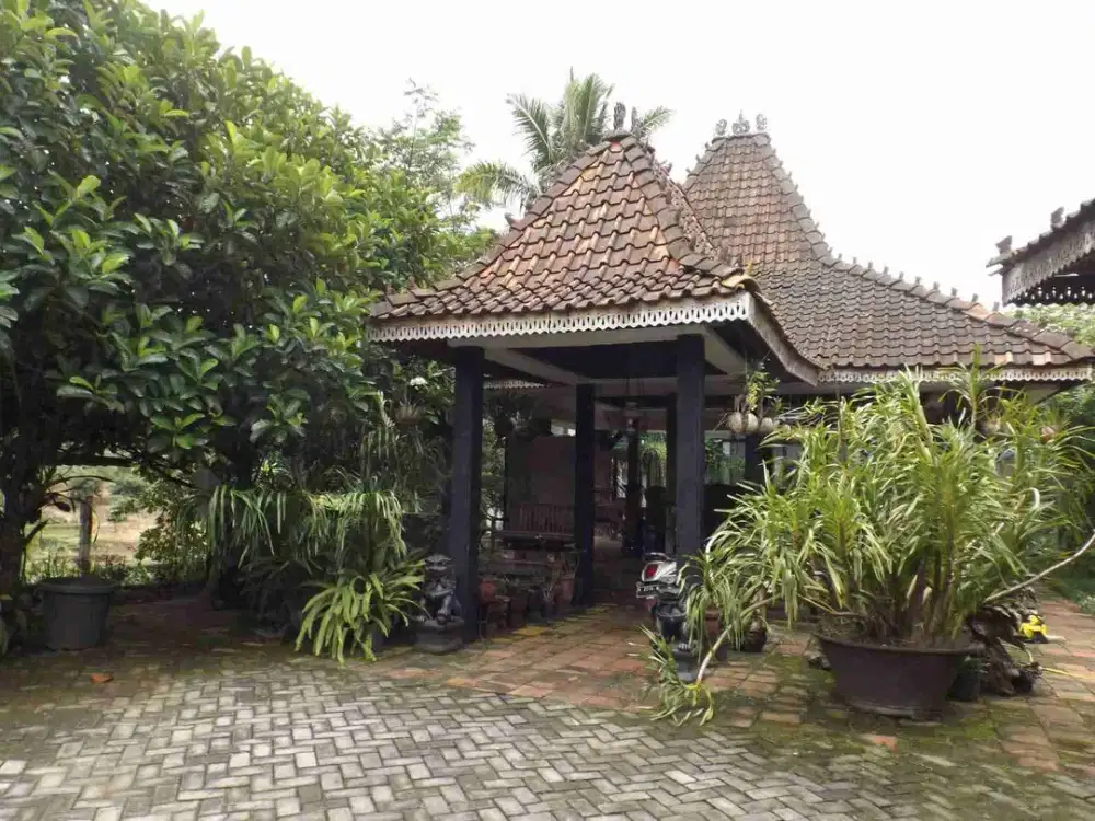 Villa & Ruko di Jl Koesbiyono, Pakintelan Gunungpati dekat Ariston Bellevue
