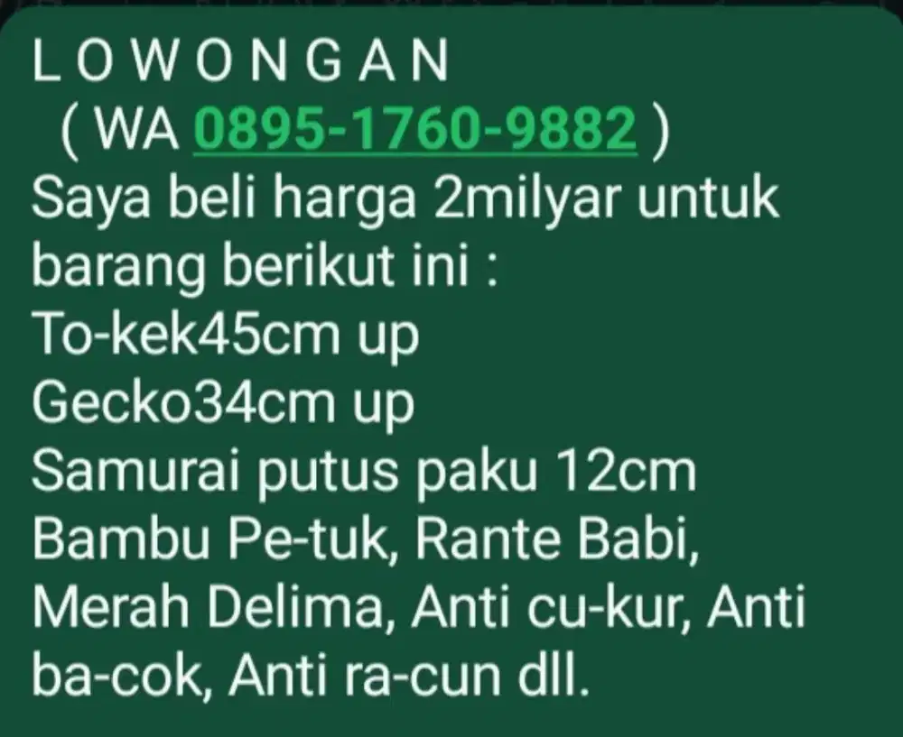 Dicari Ayam cemani full hitam pekat Lowongan Semarang