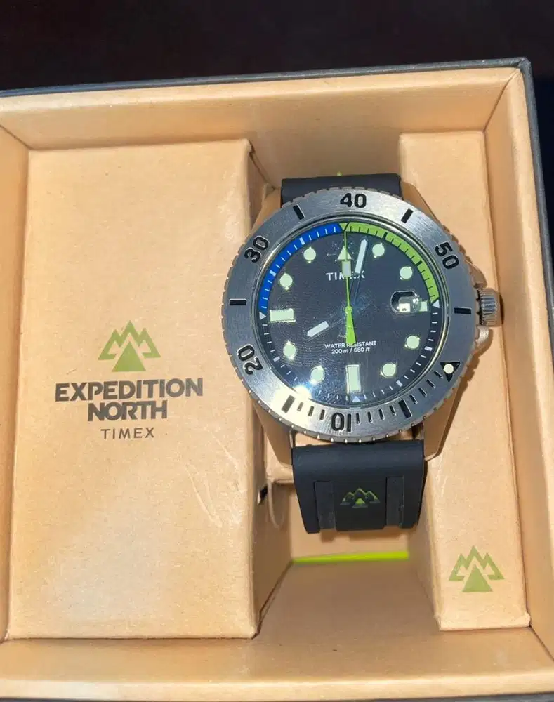 Jam Tangan TIMEX TW2W41700 Expedition