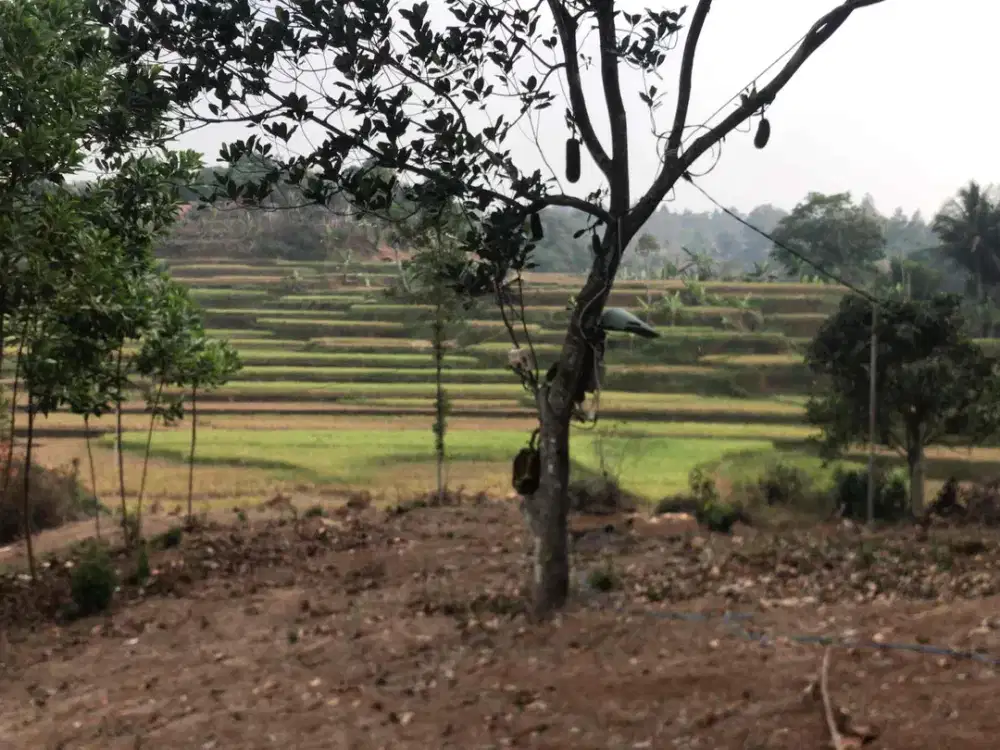 Di Jual Tanah View bagus,cocok untuk Villa
