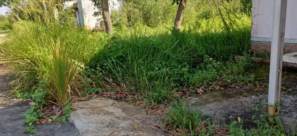 Dijual Rumah Pribadi