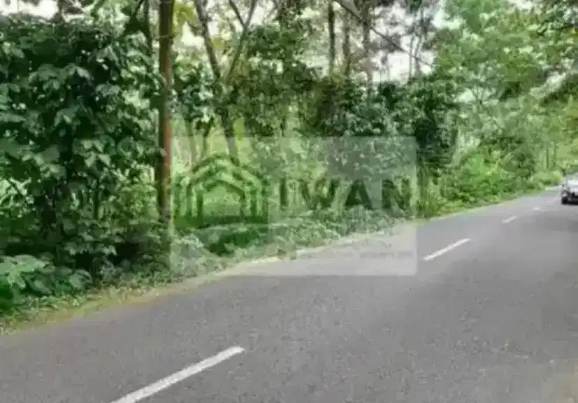 Tanah Iklim Sejuk Murah & Strategis Hadap Jalan Raya Kabupaten