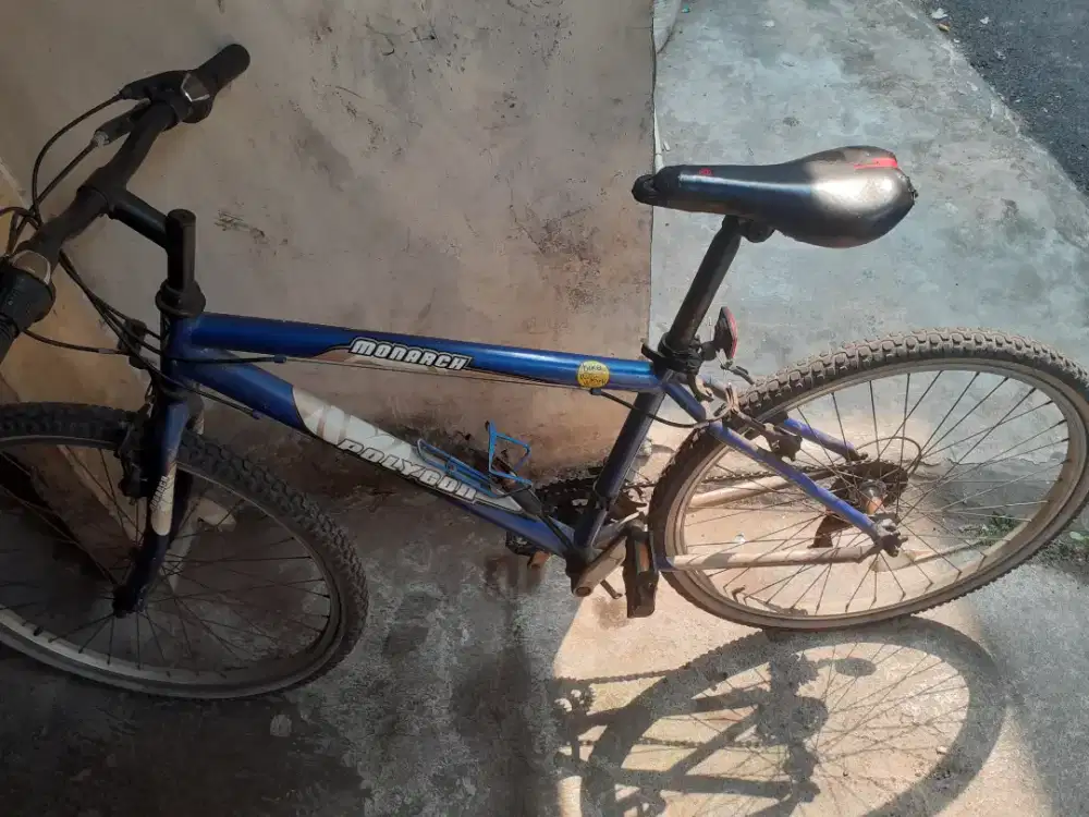 Polygon Monrch size 26 frame steel