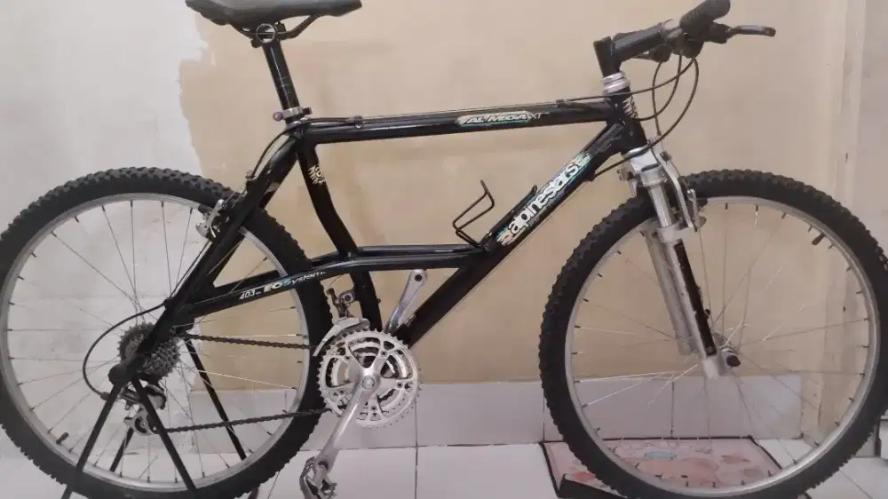 MTB Alpinestars Allmega Xt