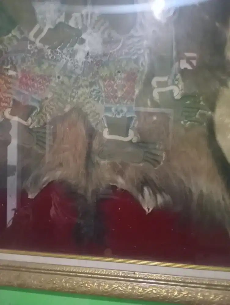 LUKISAN LANGKA KULIT KUMBOKARNO