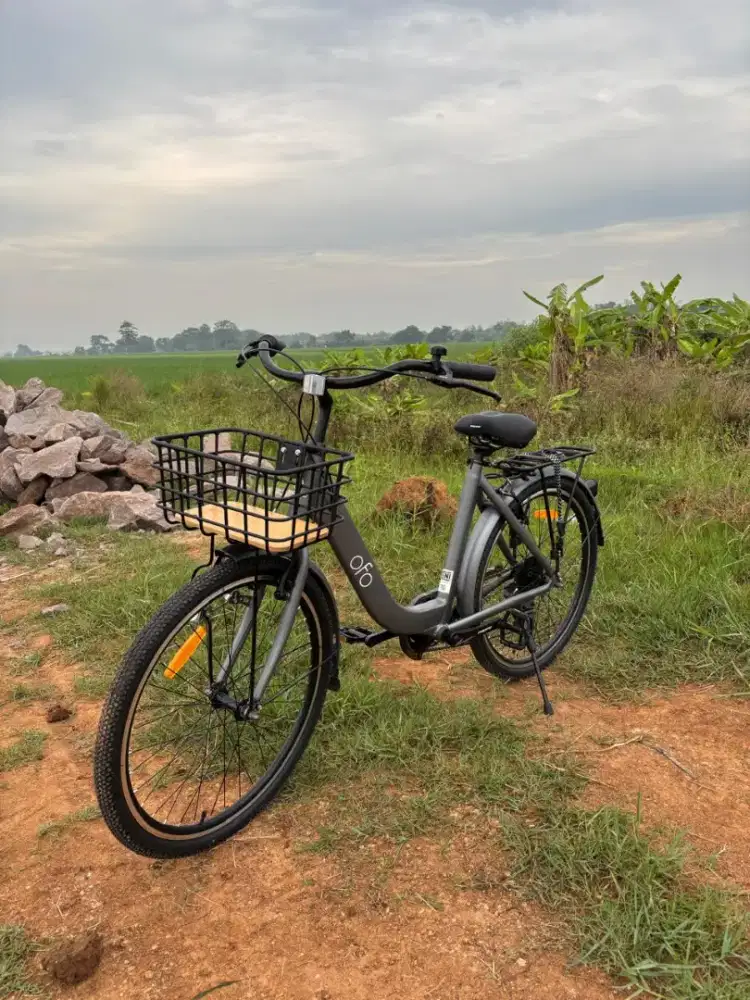 Jual sepeda ofo bekas