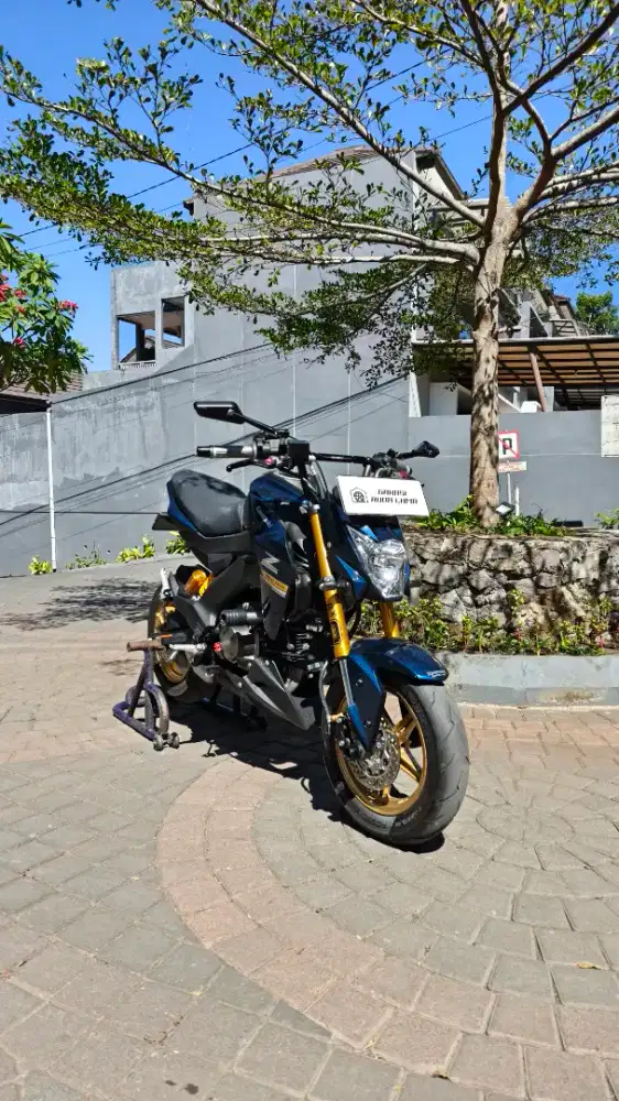 Z125 Collector's Item Special Condition