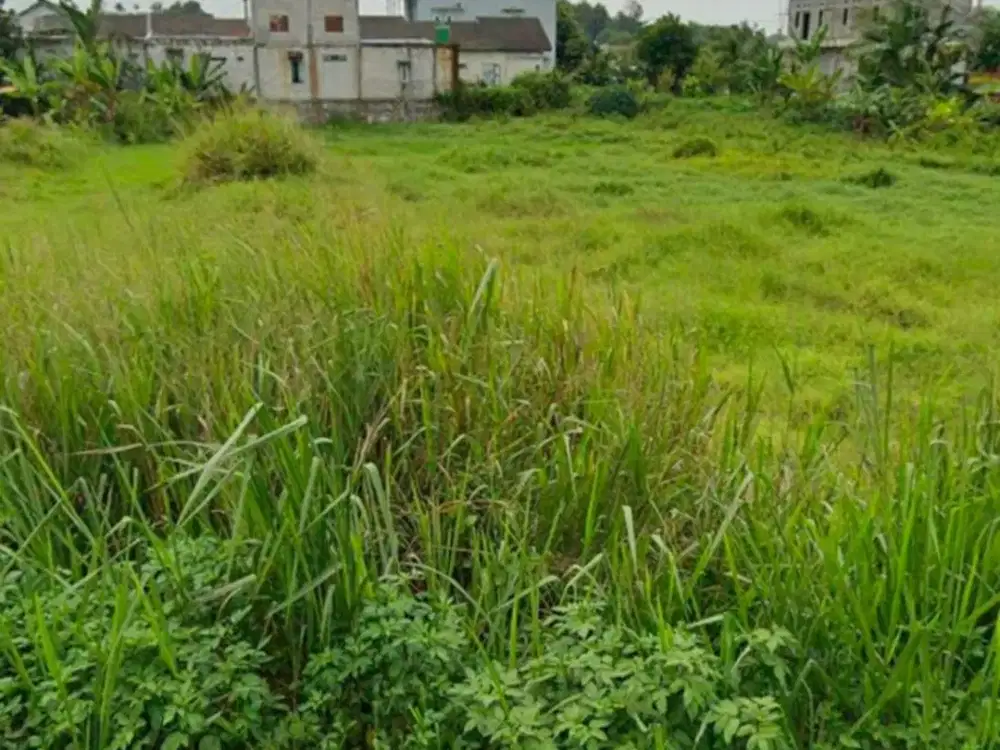 Dijual Tanah Strategis Padat Siap Pakai di Munjul Tigaraksa Tangerang