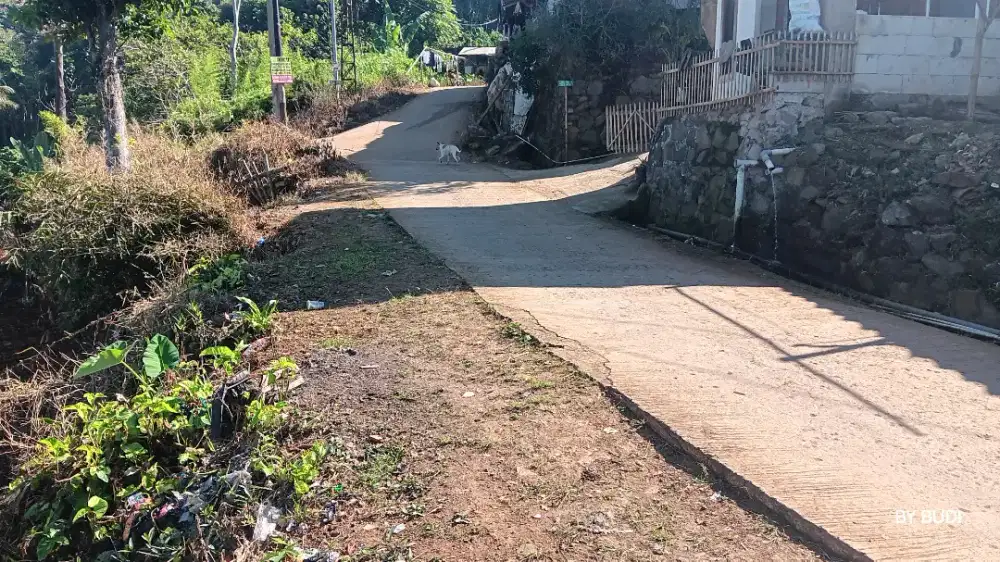 MURAH KEBUN  PADASUKA CIMENYAN