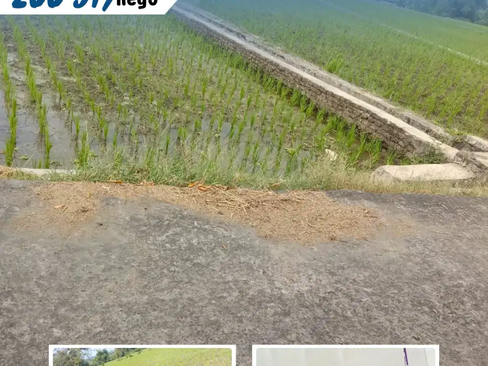 DIJUAL SAWAH PRODUKTIF – PULOSARI, KEBAKKRAMAT